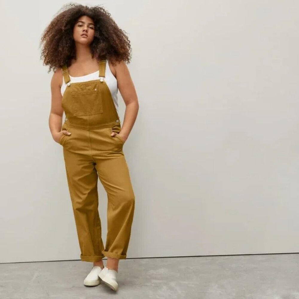Everlane The Canvas Utility Overalls